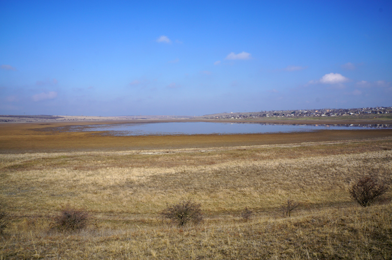 DSC00606