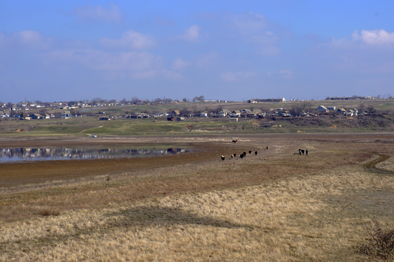 DSC00607