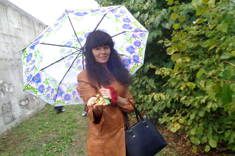 Image00005