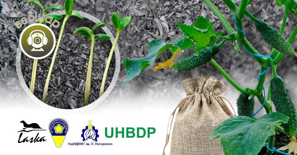 biochar